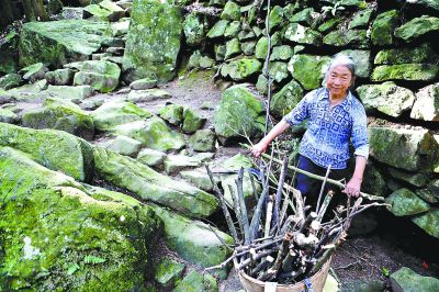 采石场遗址内，一位当地老人正在收集柴火，挂满绿苔的砂岩依稀可见当年斧凿劳作过的痕迹。